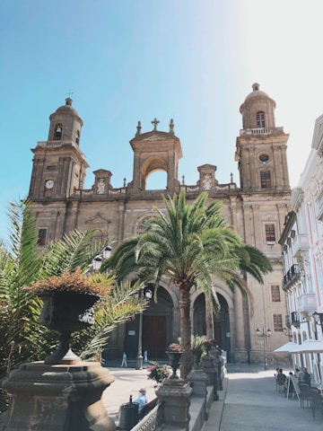 green palm trees near brown concrete building during daytime
