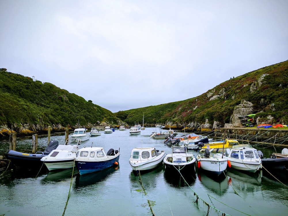 white and blue boats on body of water during daytime