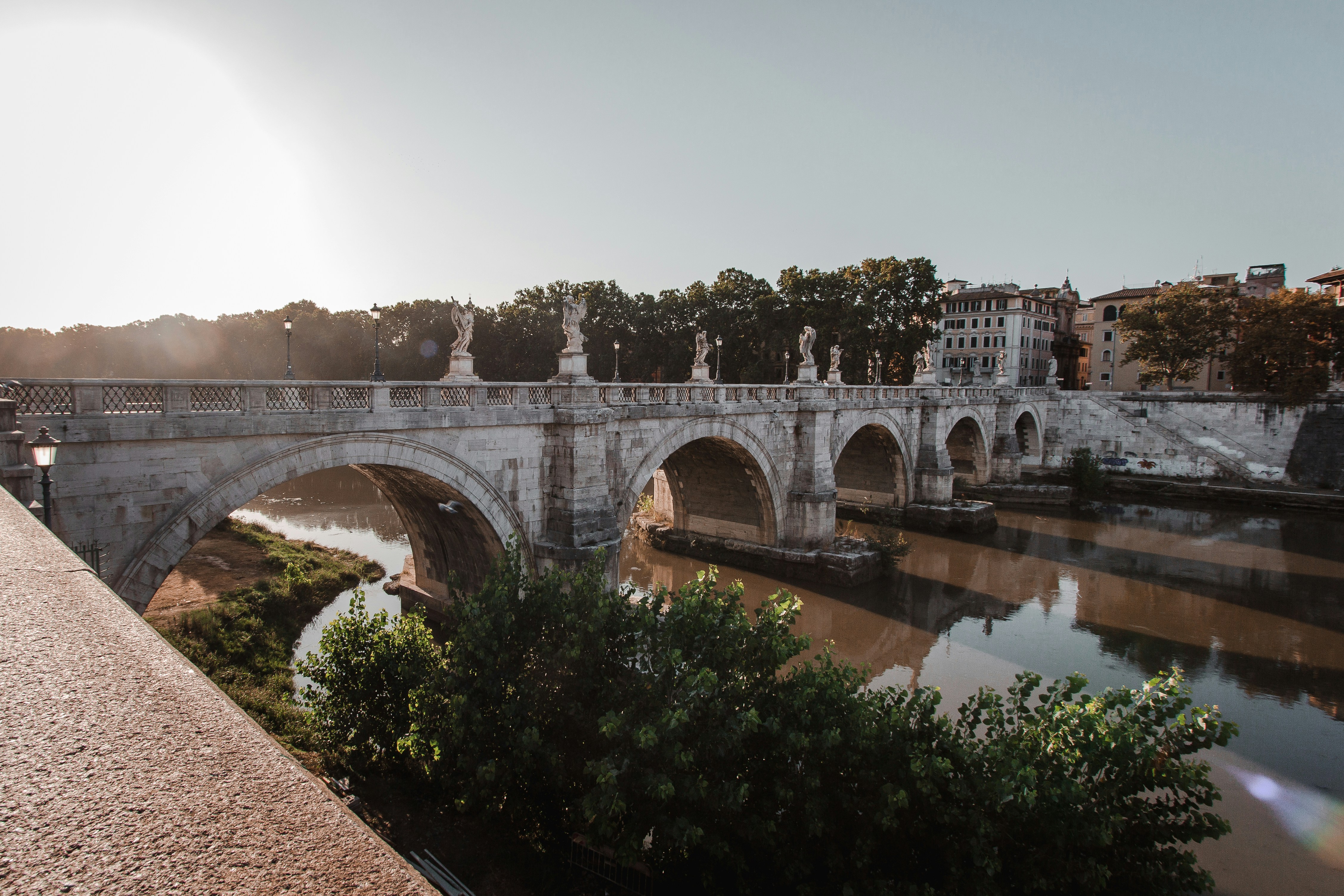 Photo by gingerbudgie