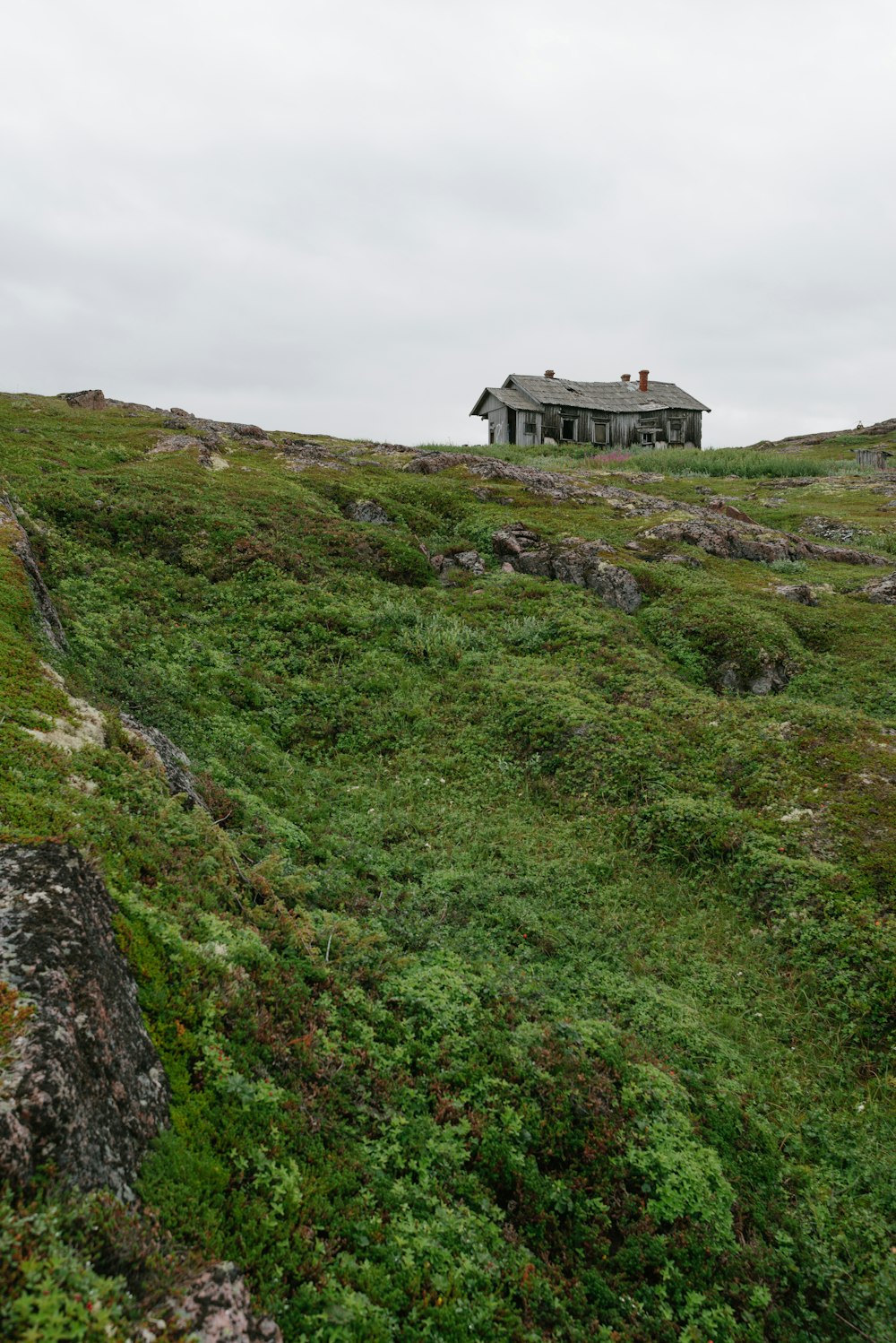 maison noire et blanche sur le champ d’herbe verte