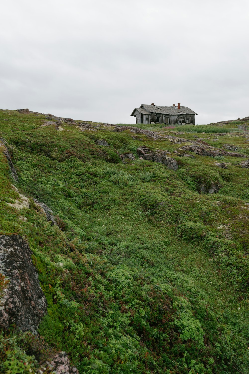 casa in bianco e nero sul campo di erba verde