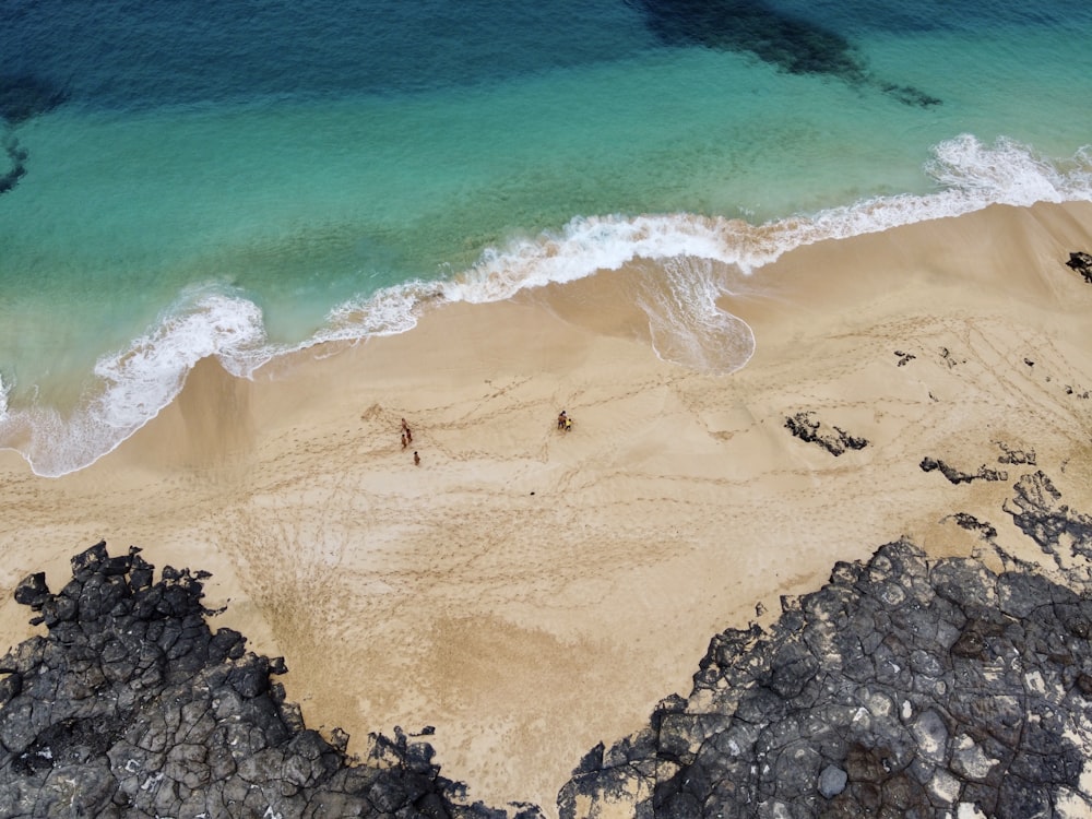 people on beach during daytime