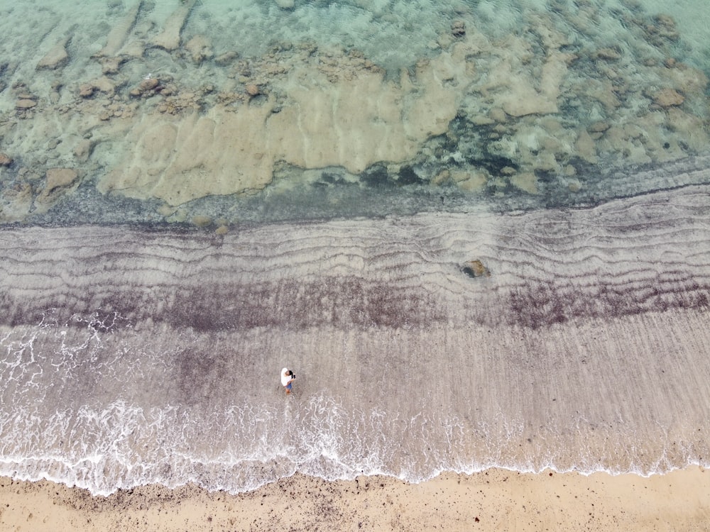 personnes surfant sur les vagues de la mer pendant la journée