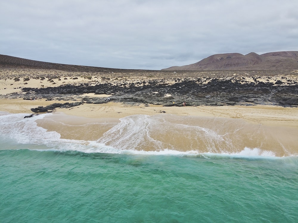 brown sand beach during daytime