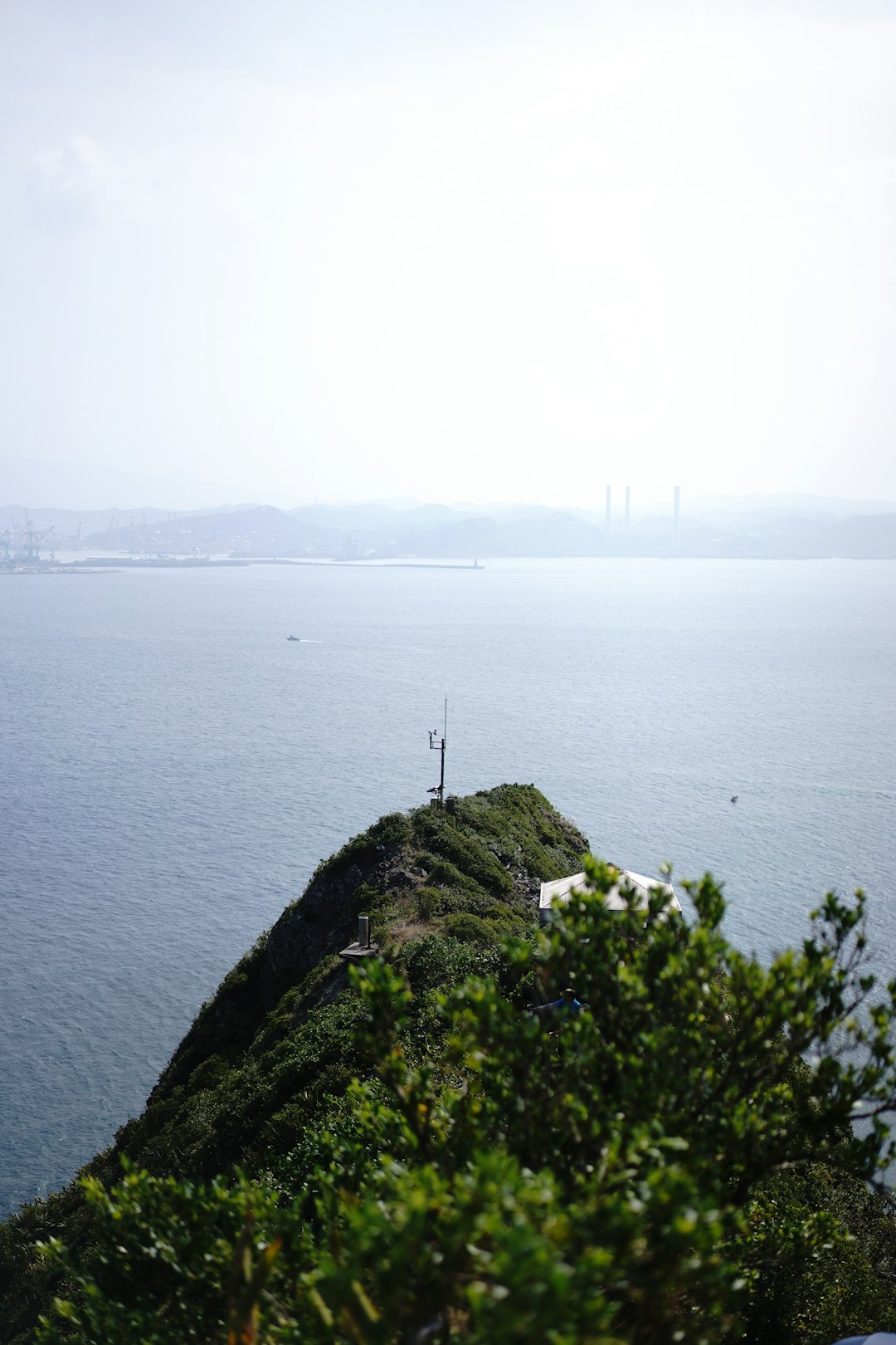 green grass on rock formation near body of water during daytime