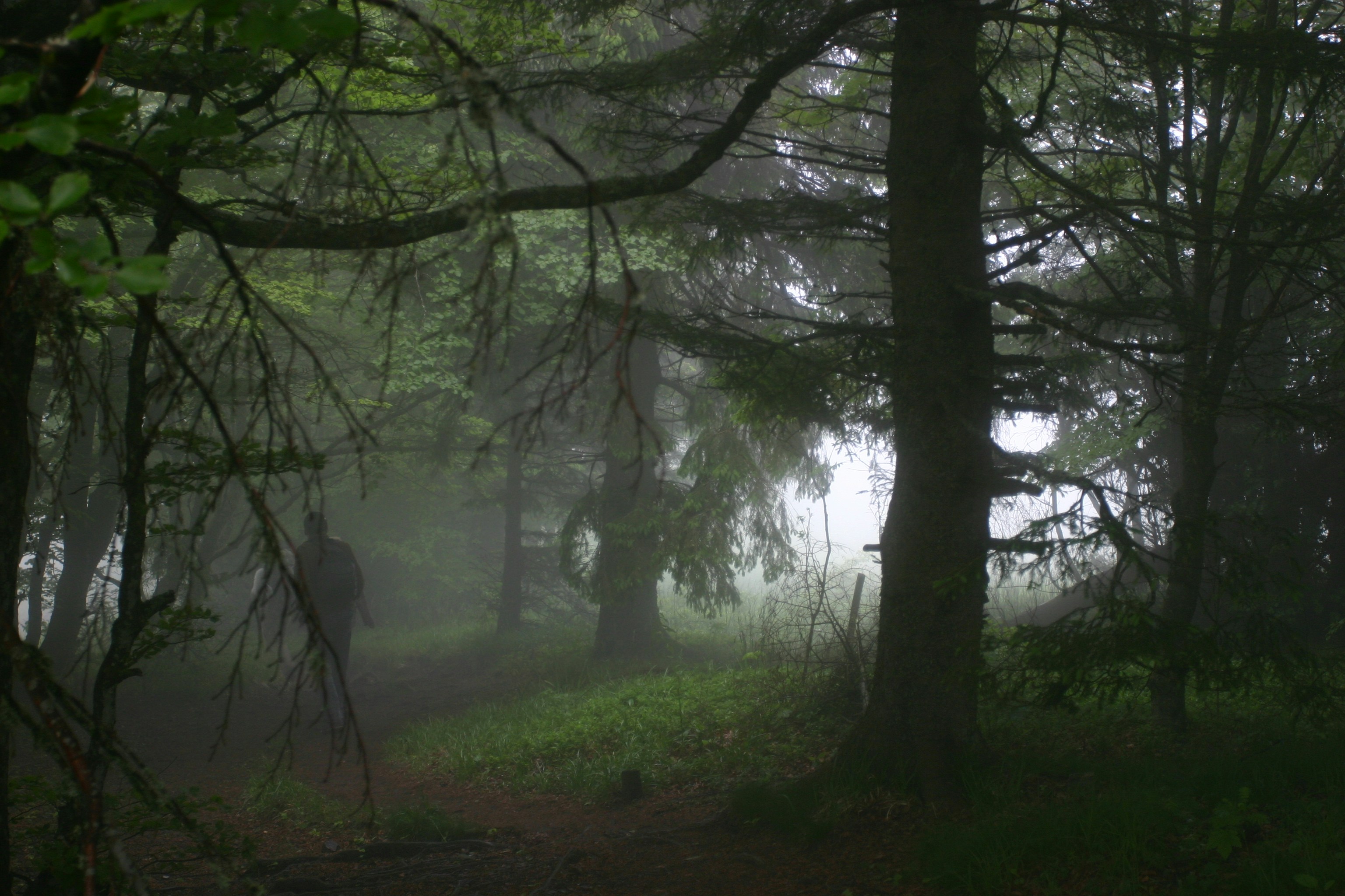 Photo by nadia_hicetnunc