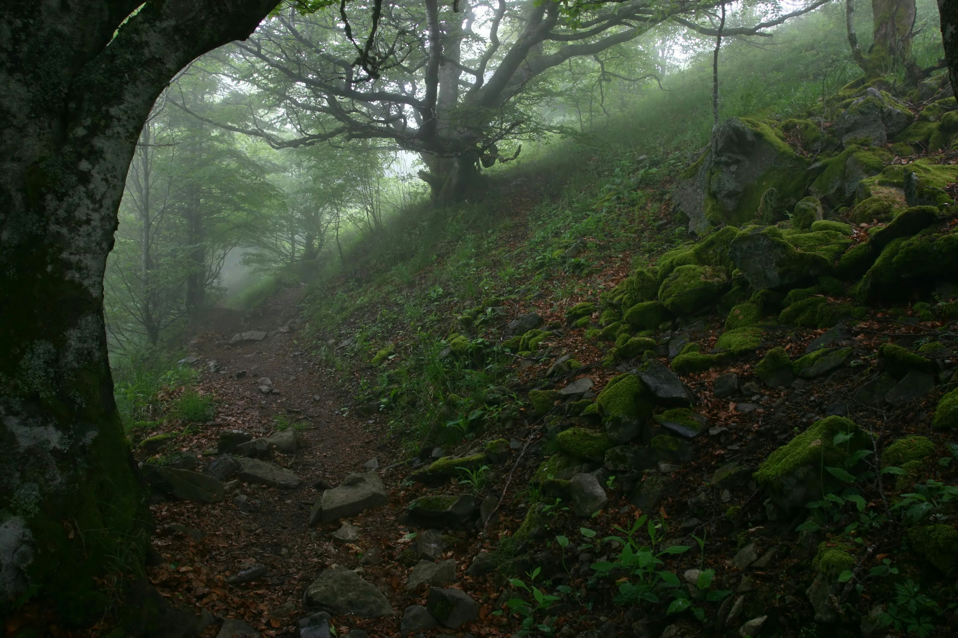 Photo by nadia_hicetnunc