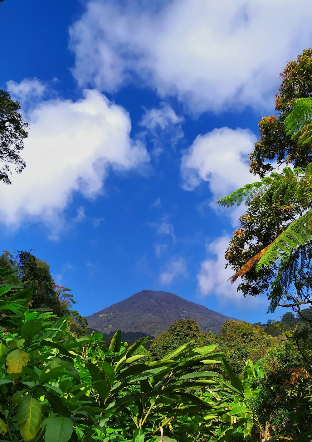 green mountain under blue sky and white clouds during daytime