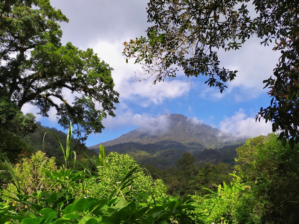 montaña verde bajo nubes blancas durante el día