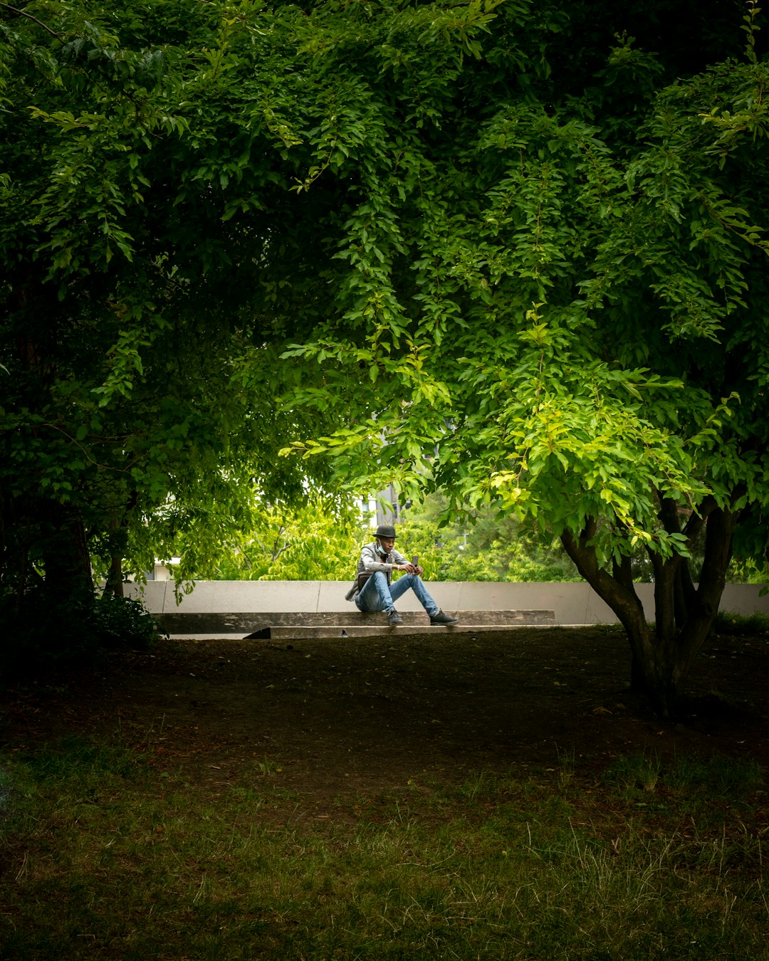 man in blue shirt sitting on white bench near green trees during daytime