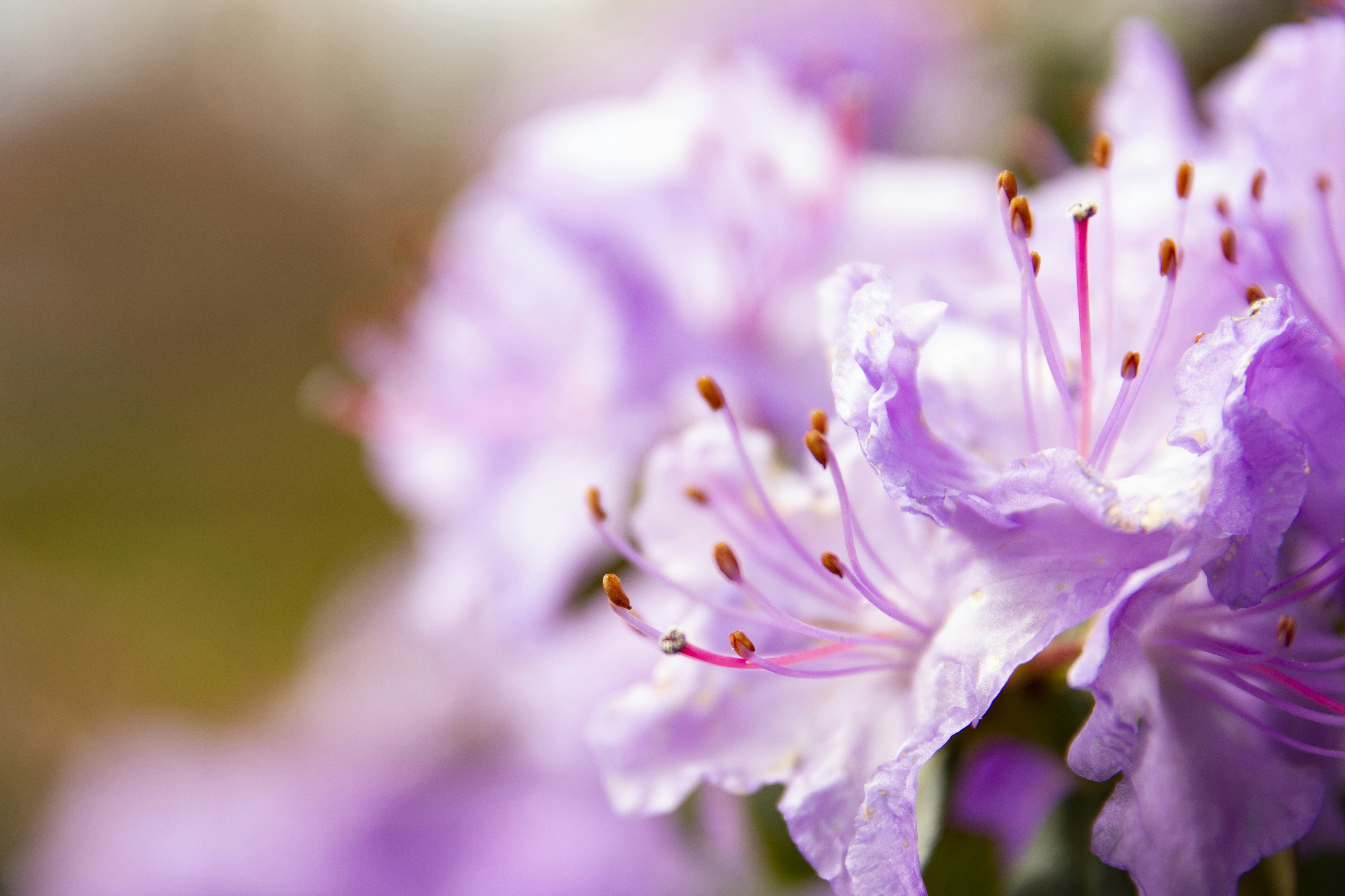 Photo by alicja_trepka