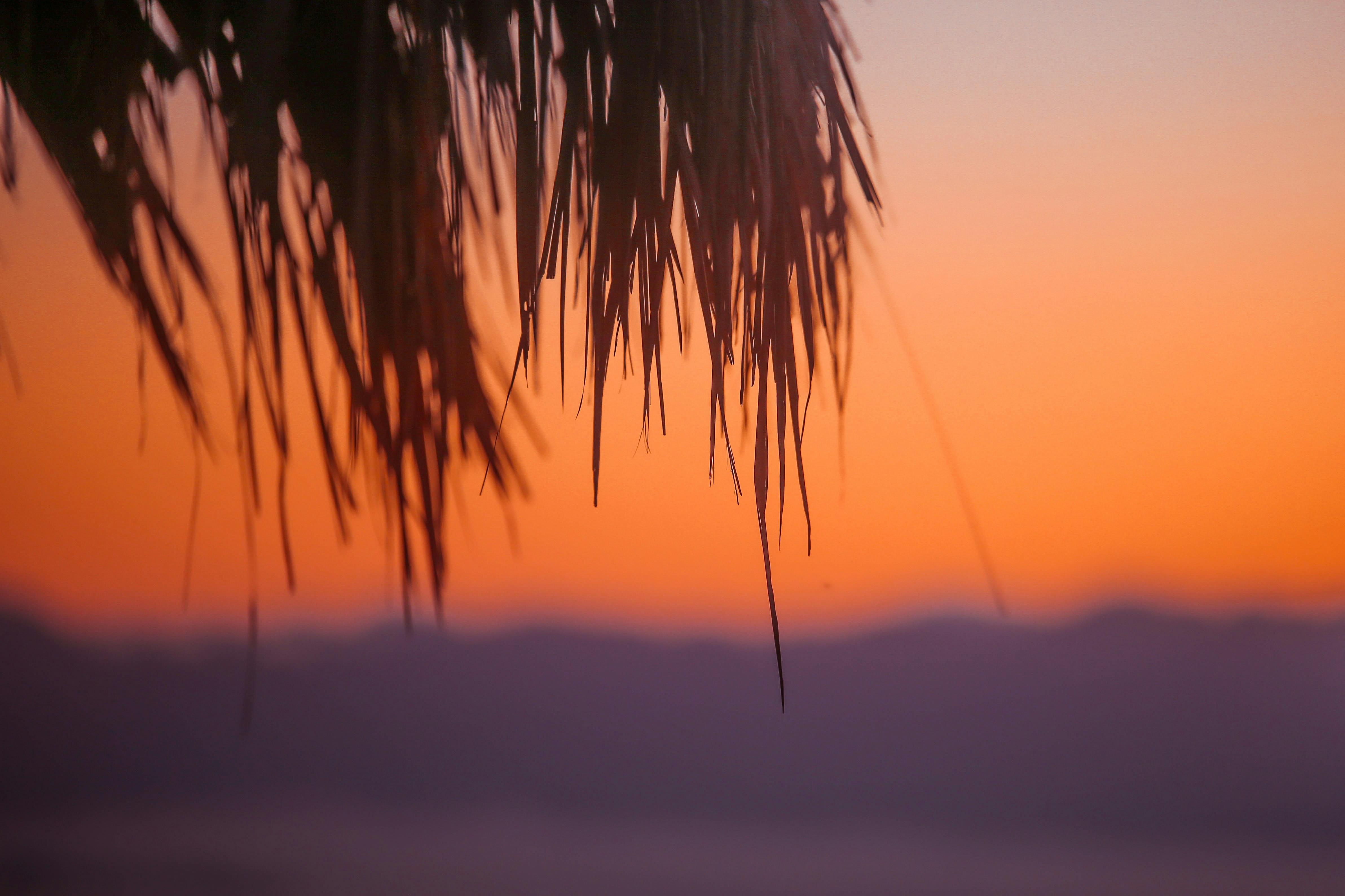 Photo by the_peacemaker__