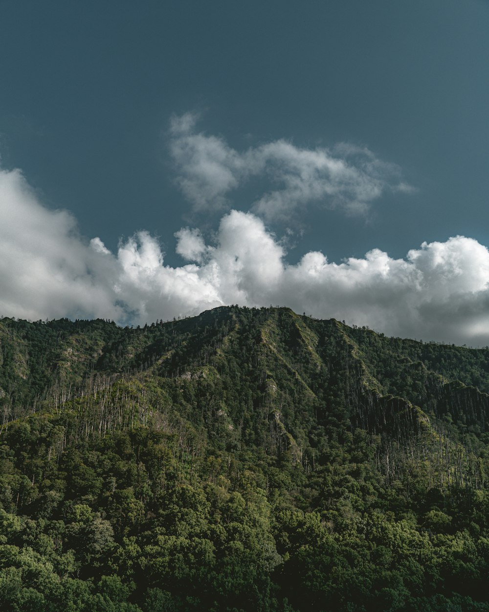 green mountain under blue sky and white clouds during daytime