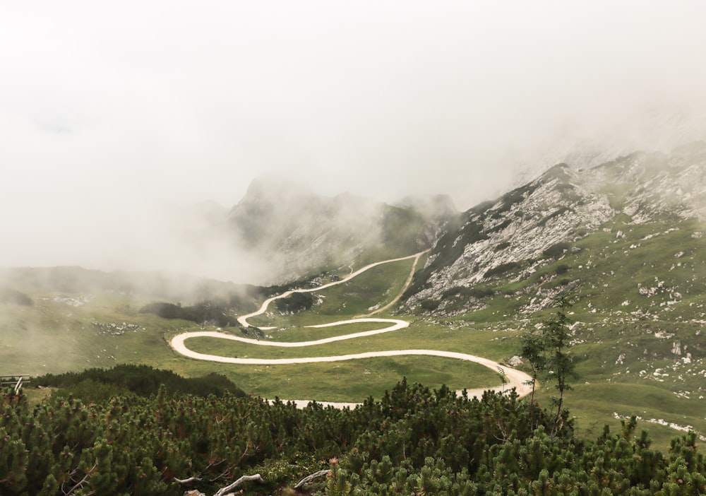 green trees on mountain during foggy day