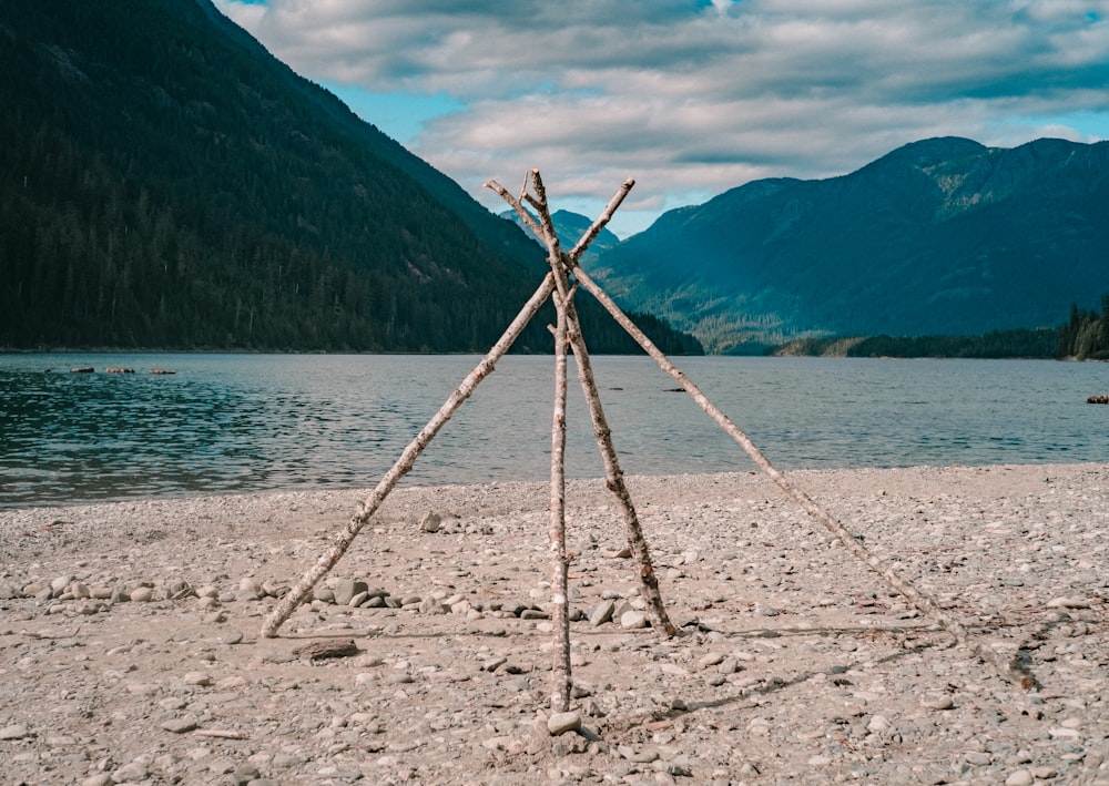 brown wooden stick on white sand near body of water during daytime