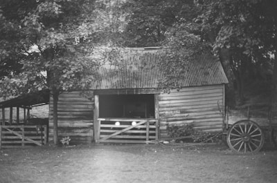 A rustic wooden barn with a corrugated metal roof stands amidst a natural setting. The barn is surrounded by tall trees and grass, with a wooden fence partially enclosing it. An old wagon wheel leans against the right side near the entrance, and there are a few bright spots of light visible in the shadowy interior.