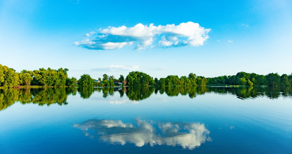 green trees beside body of water under blue sky during daytime