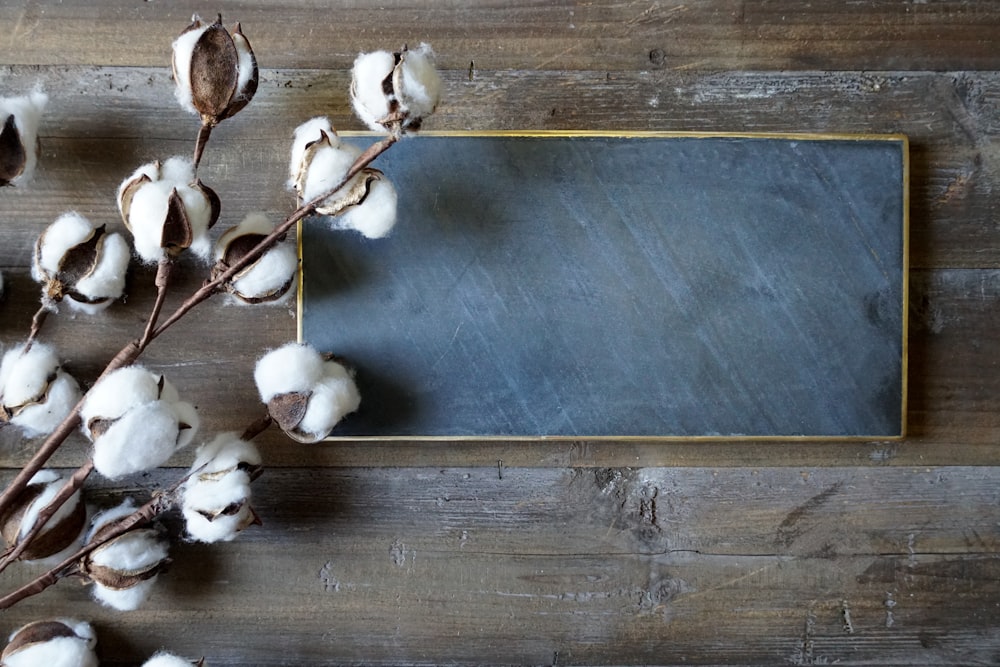 white garlic on brown wooden table