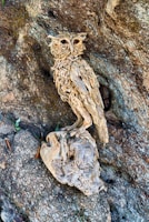 A detailed carving of an owl made from intertwining pieces of wood is perched elegantly against a textured tree trunk. The intricate craftsmanship captures the natural curves and details of an owl, blending seamlessly with the surrounding tree bark.