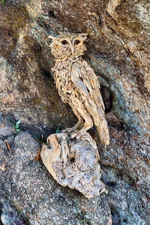 An adorable crochet owl with intricate stitch patterns, perched on a rustic branch.