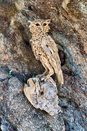 A detailed carving of an owl made from intertwining pieces of wood is perched elegantly against a textured tree trunk. The intricate craftsmanship captures the natural curves and details of an owl, blending seamlessly with the surrounding tree bark.