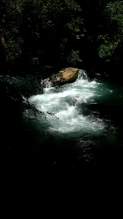 A crystal-clear mountain stream flowing over smooth stones surrounded by lush greenery.