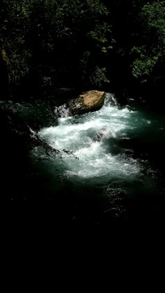 A serene stream flowing through a lush forest, symbolizing pure, life-giving water.