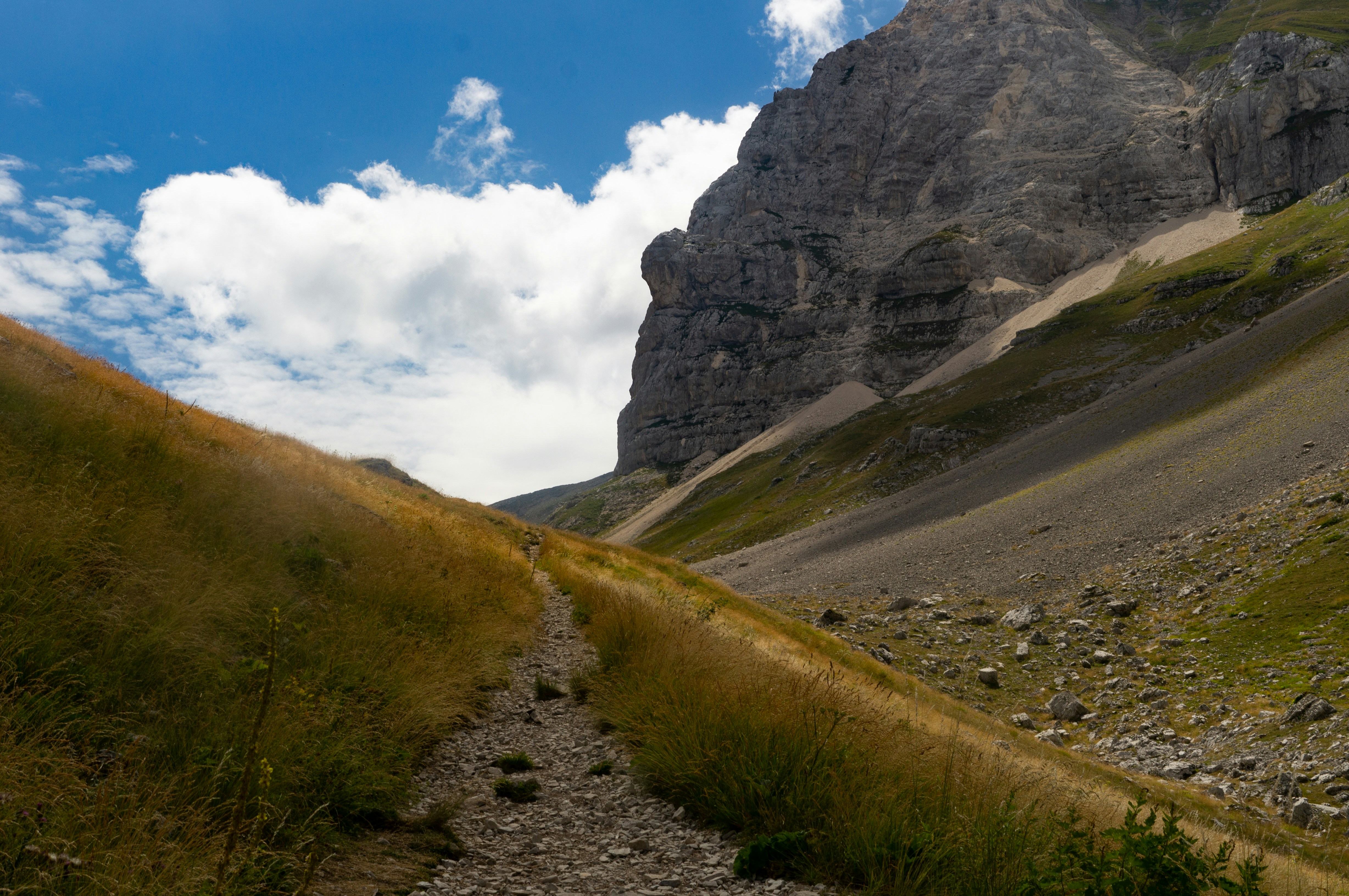 Photo by giuliettacapp