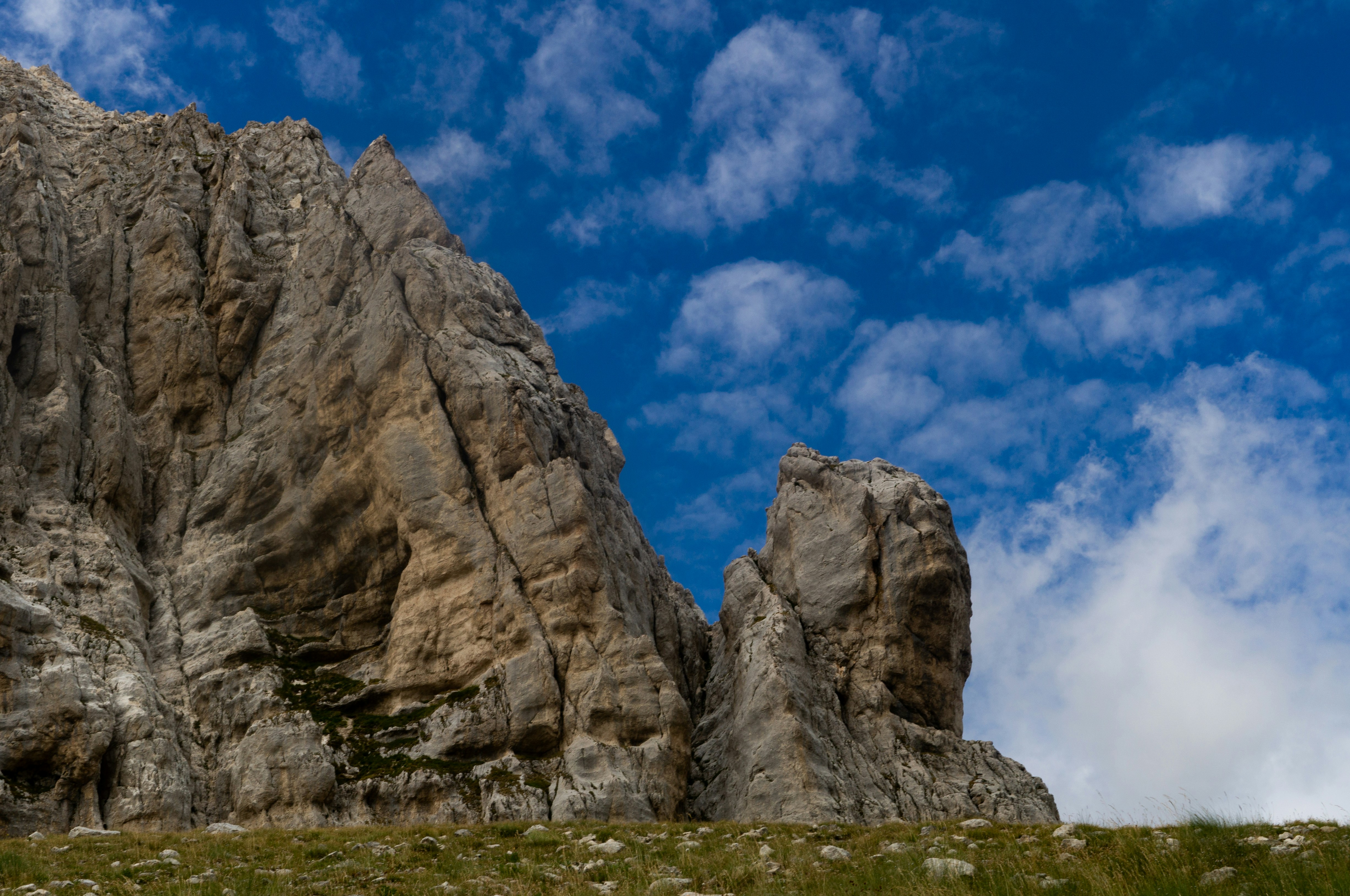 Photo by giuliettacapp