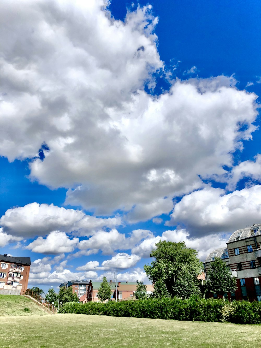 green trees under blue sky and white clouds during daytime