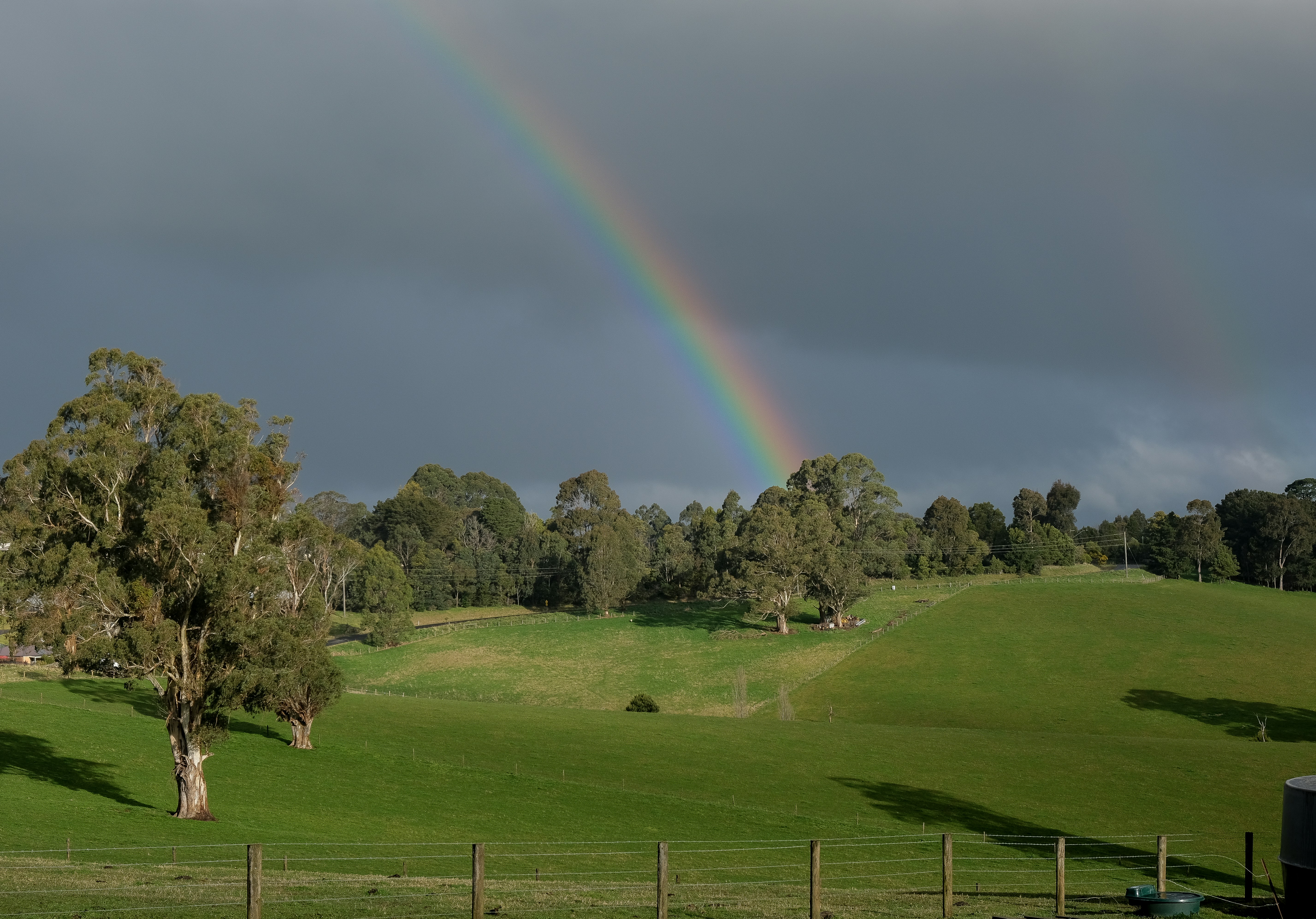 green grass field with rainbow