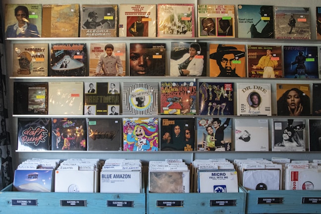 A collection of vinyl records representing various artists.