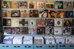 A collection of vinyl records is displayed on shelves, featuring diverse album covers with a range of vibrant and muted colors. The albums include a mix of well-known artists and obscure titles spanning different genres. Each vinyl is individually wrapped in plastic, and some have price tags attached. The lower shelves hold additional records organized in plastic sleeves within labeled categories.