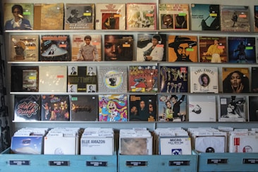 A collection of vinyl records is displayed on shelves, featuring diverse album covers with a range of vibrant and muted colors. The albums include a mix of well-known artists and obscure titles spanning different genres. Each vinyl is individually wrapped in plastic, and some have price tags attached. The lower shelves hold additional records organized in plastic sleeves within labeled categories.