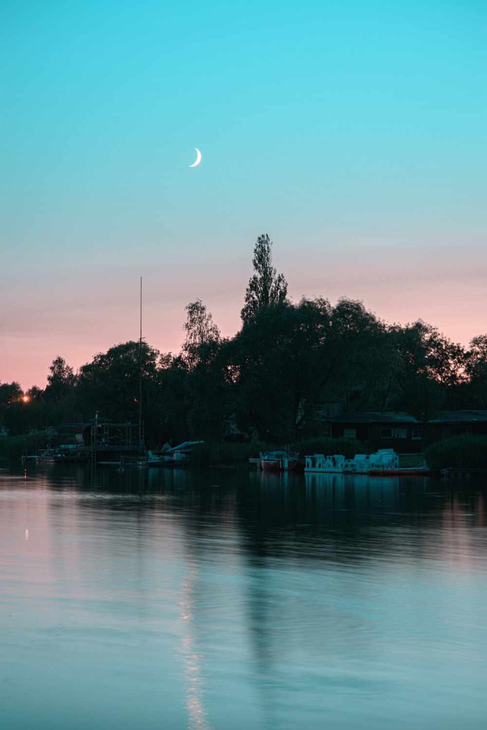 green trees beside body of water during night time