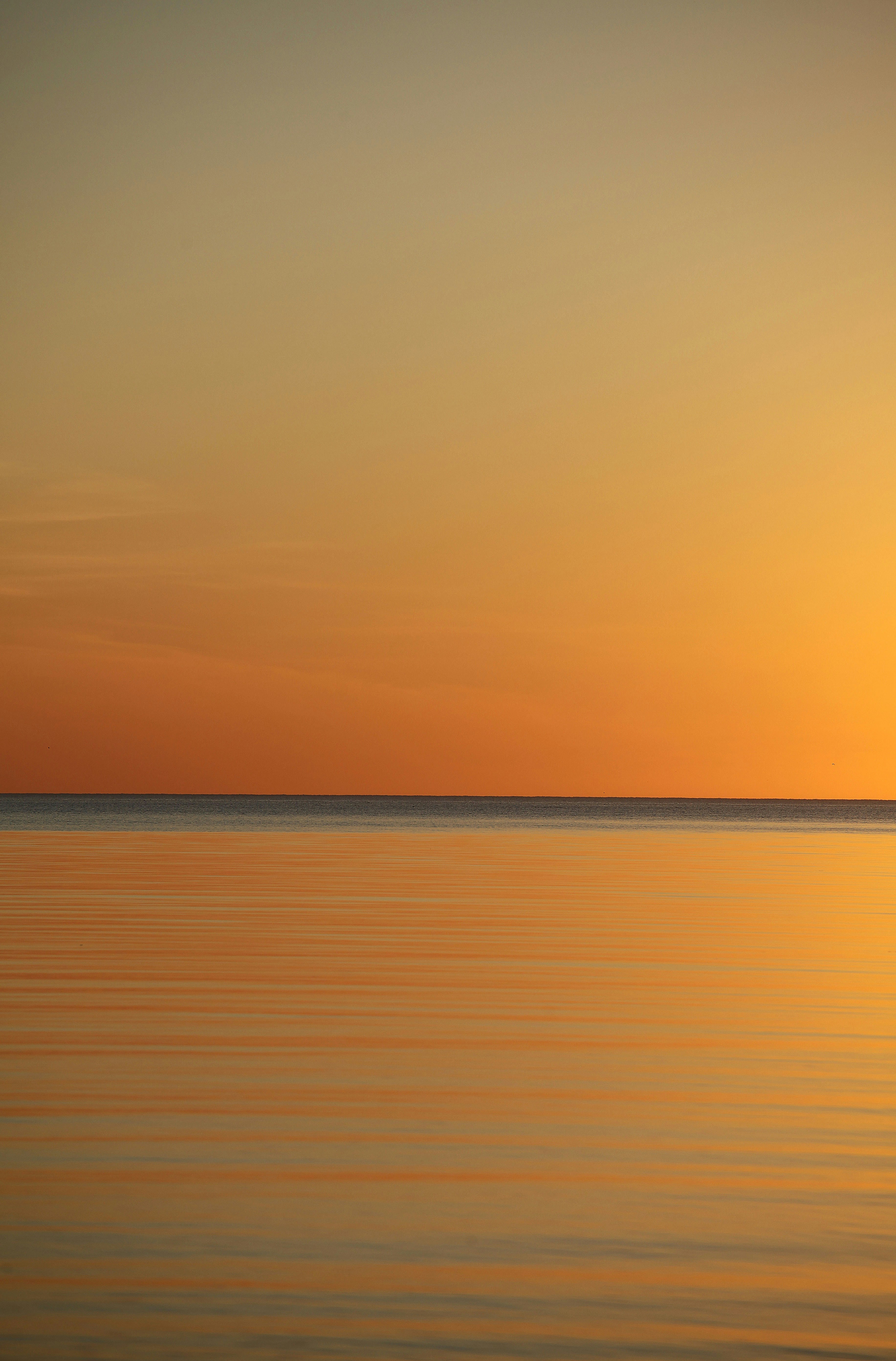 Photo by straume_foto