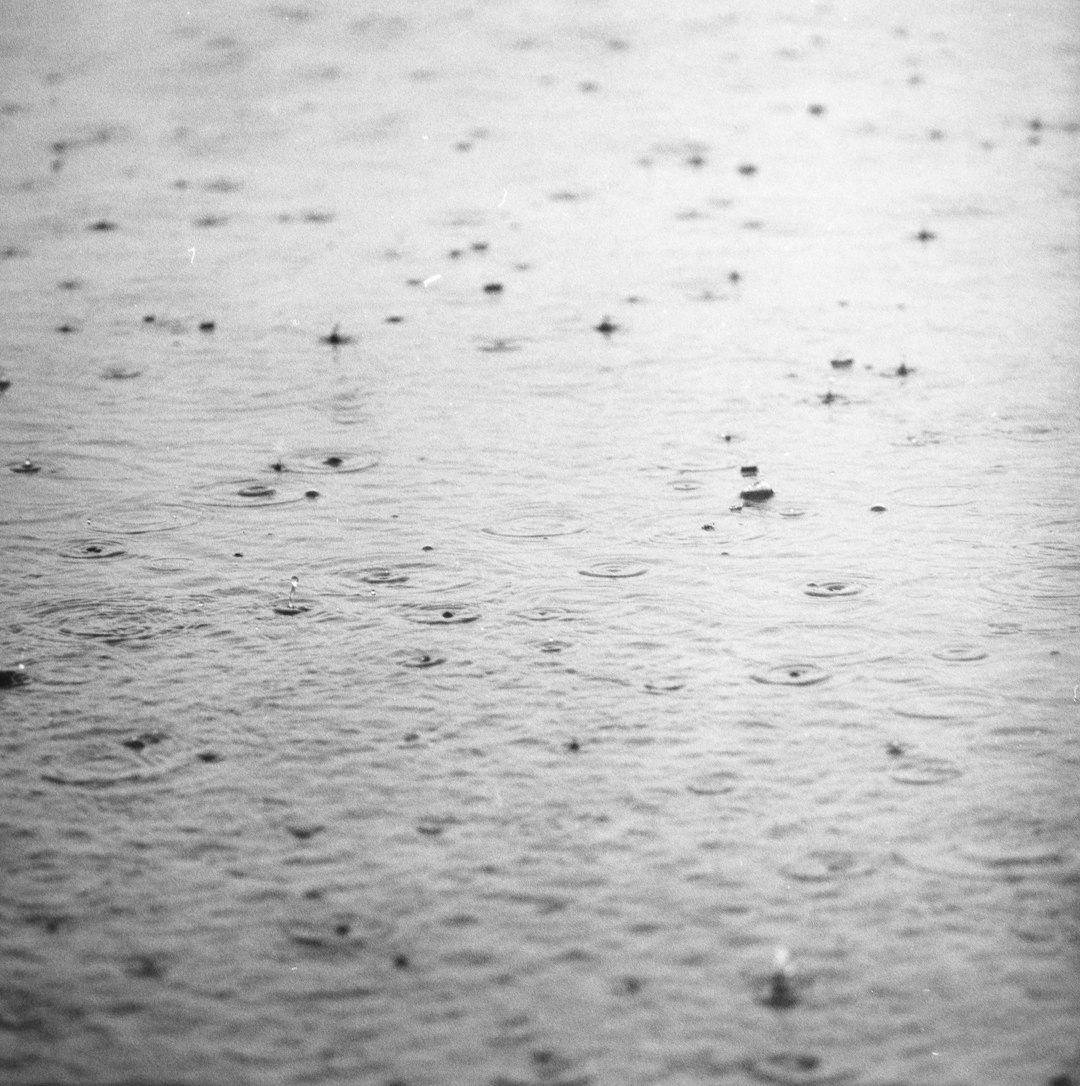 black and white photo of wet ground