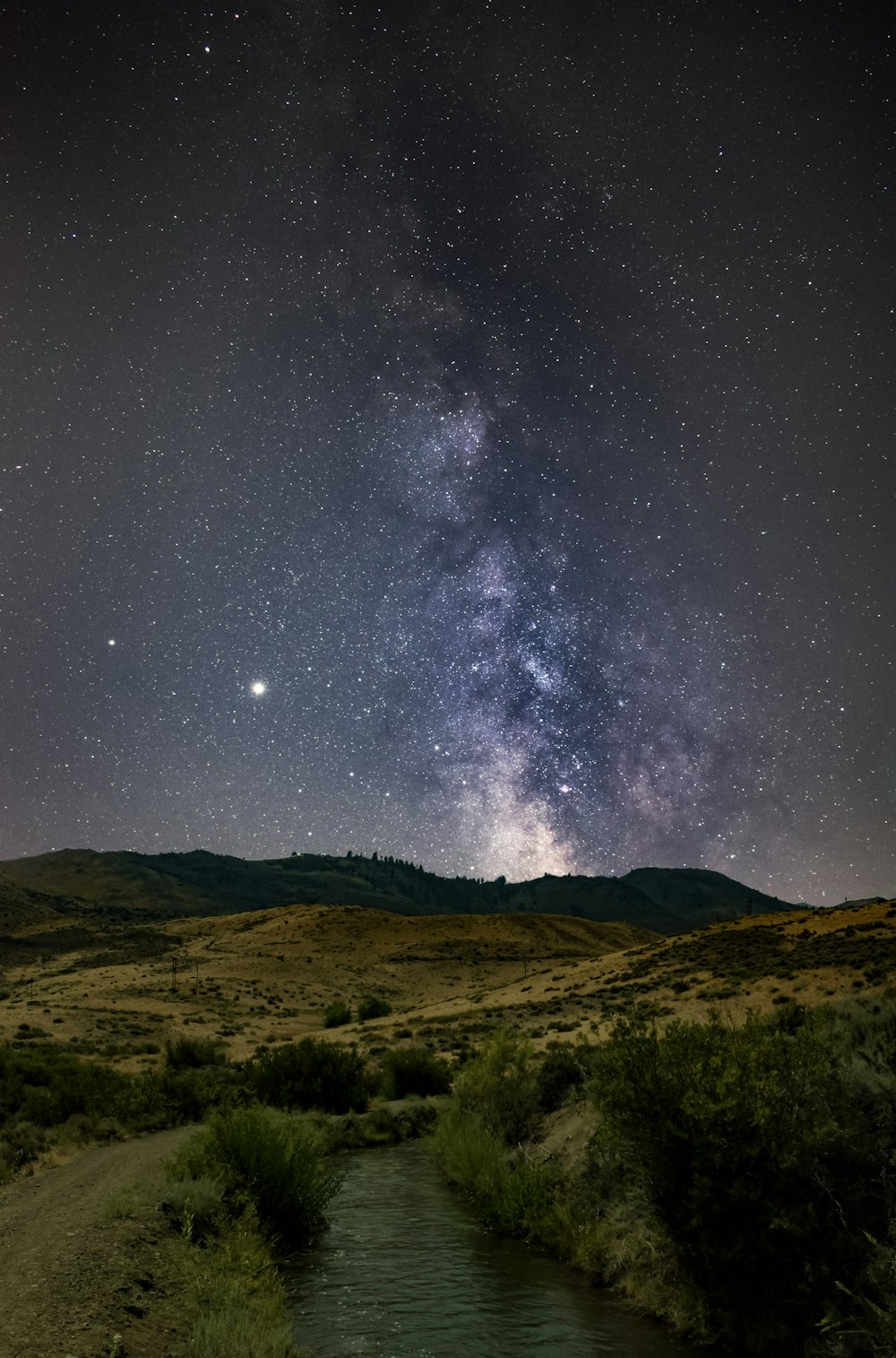 green grass field under starry night