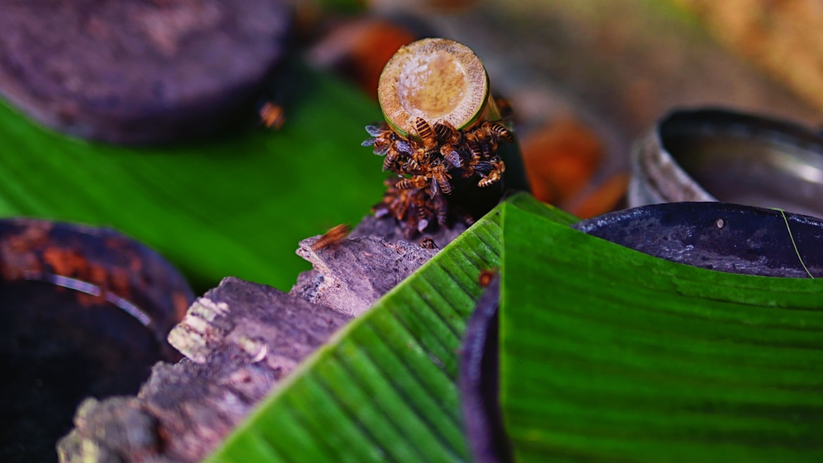 Malaysia