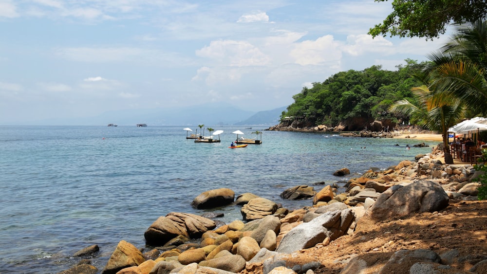 white boat on sea during daytime