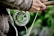 A close-up view of a person holding a fishing rod with a focus on the reel. The hand is wearing a woolen glove, suggesting cool weather. The reel is metallic with green accents, and there is greenery in the blurred background, implying an outdoor setting.