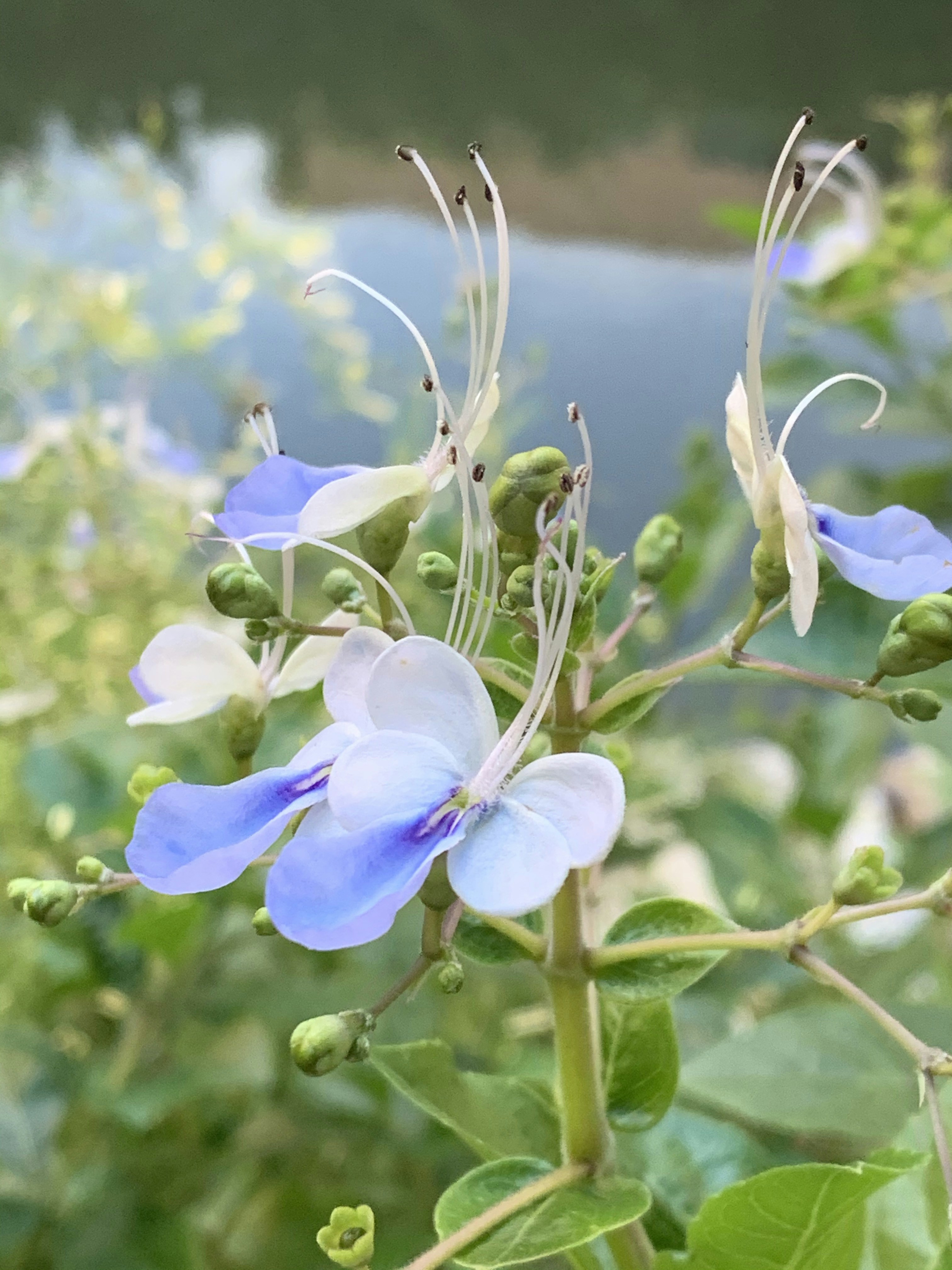 Photo by maddy_sloth