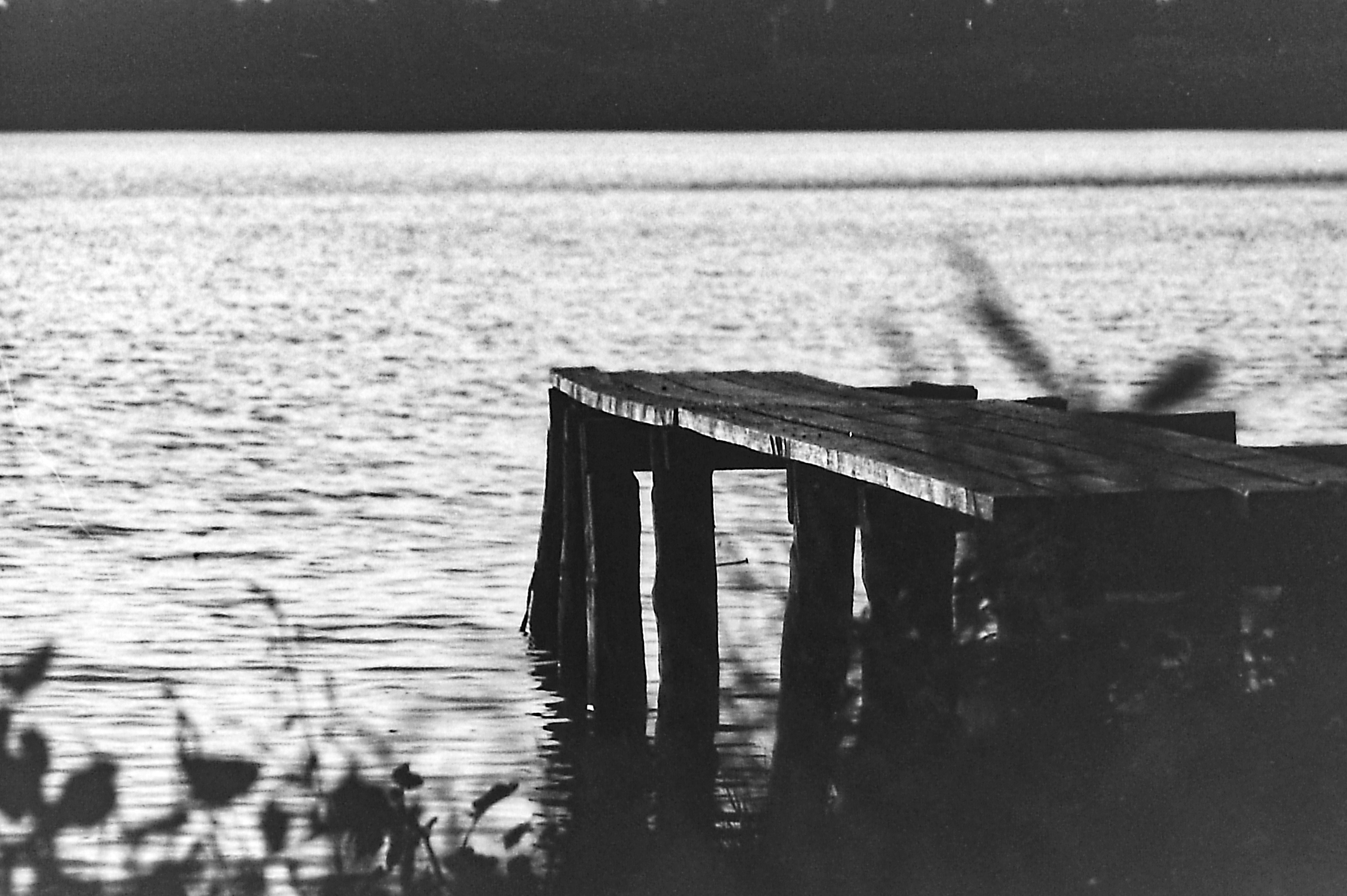 Photo by alexeypaarshukov