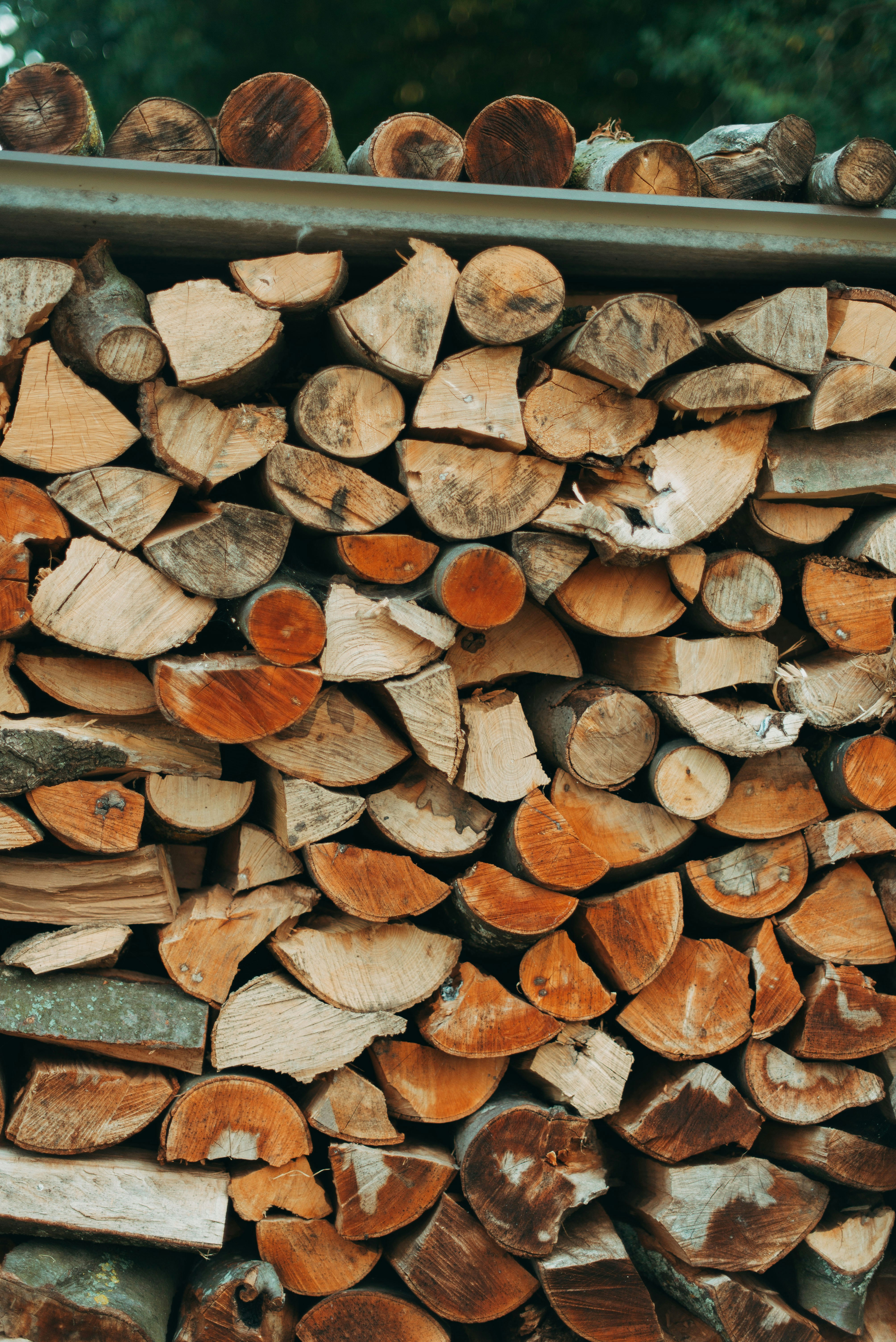 brown and black wood logs