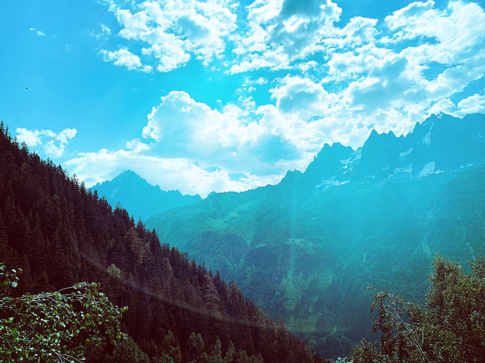 Grüne Bäume am Berg unter weißen Wolken und blauem Himmel tagsüber