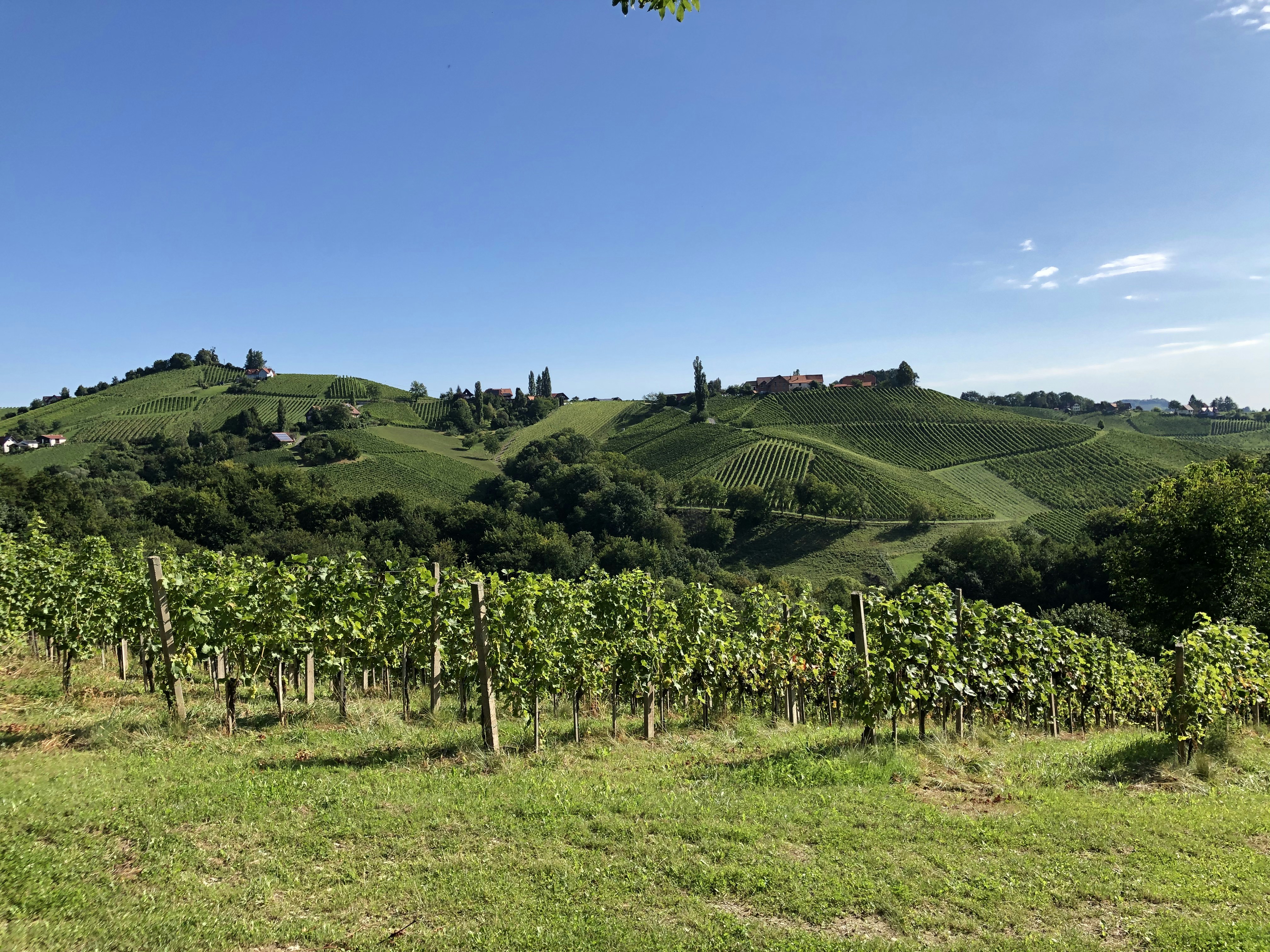 Keramikversiegelung Glanz