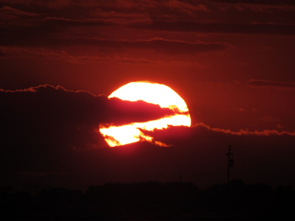 夕暮れ時の木々のシルエット