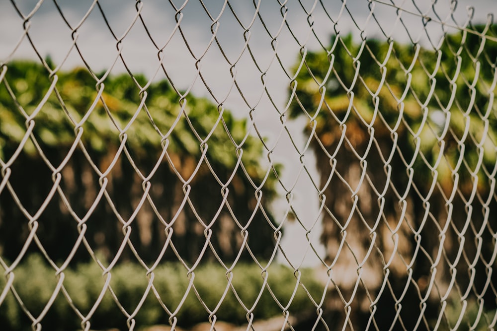 grey metal fence with green grass field