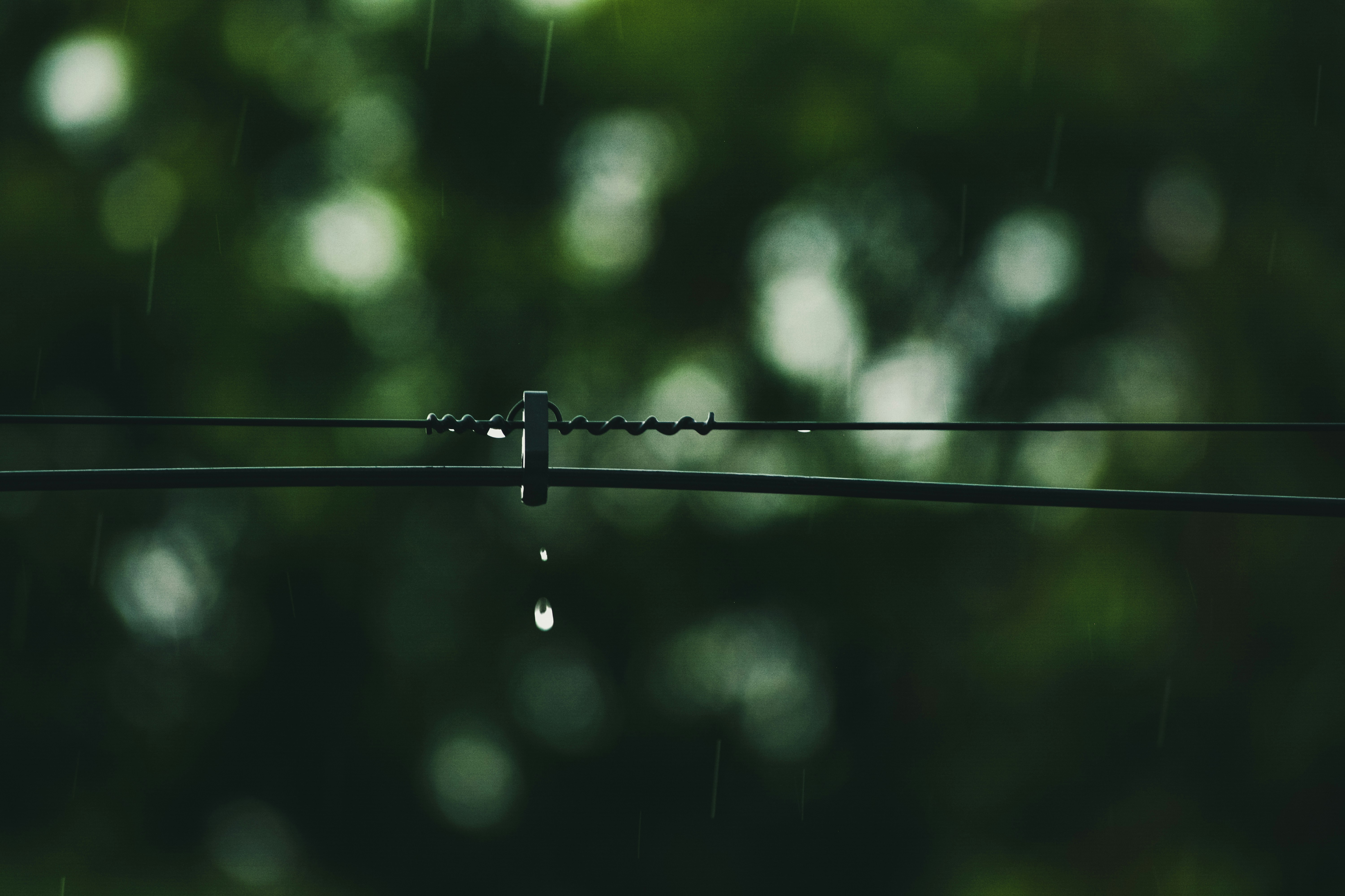 gotas de agua en alambre negro