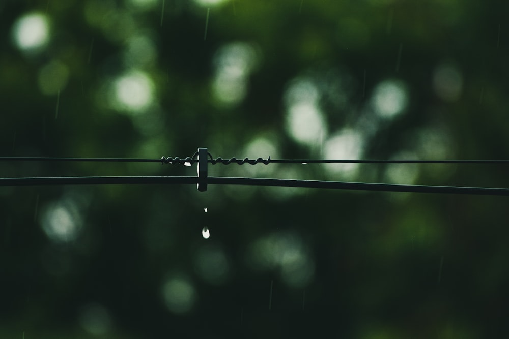 water droplets on black wire